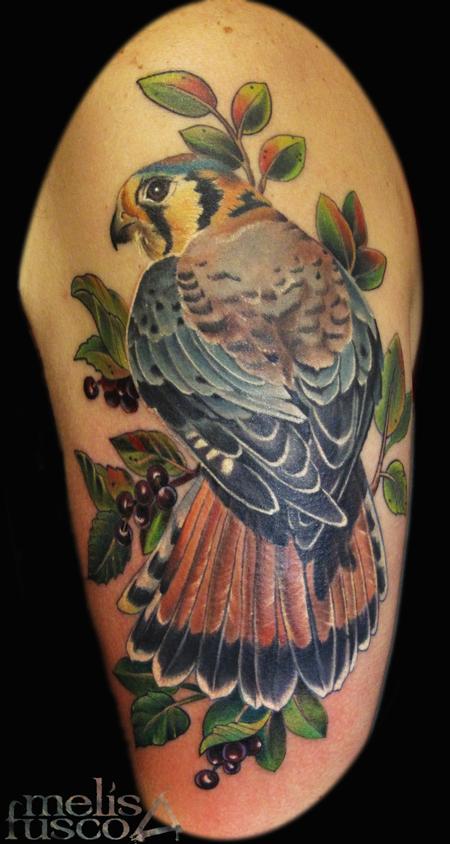 Melissa Fusco - hawk